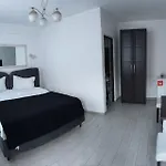Pensiunea Brici 3*