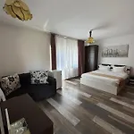 Pensiunea Brici Pensión 3*