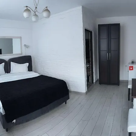 Pensiunea Brici 3*