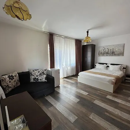 Pensiunea Brici Gasthof 3*
