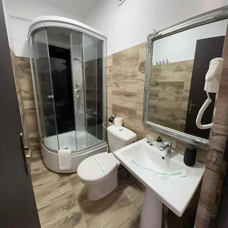 Pensiunea Brici Gasthof Cluj-Napoca