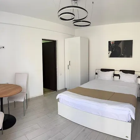 Guest house Pensiunea Brici Cluj-Napoca