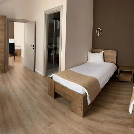 Guest house Pensiunea Brici Cluj-Napoca