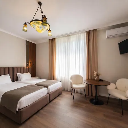 Pensiunea Brici 3*