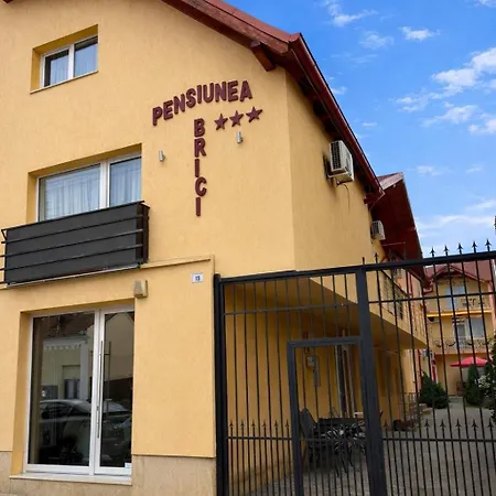 Pensiunea Brici Gasthof Cluj-Napoca