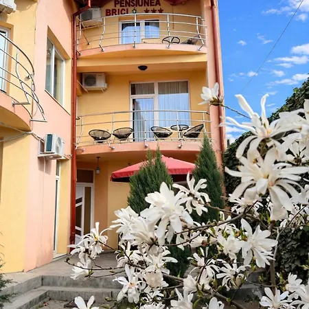 Pensiunea Brici Cluj-Napoca