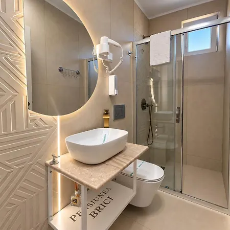 Gasthof Pensiunea Brici 3*