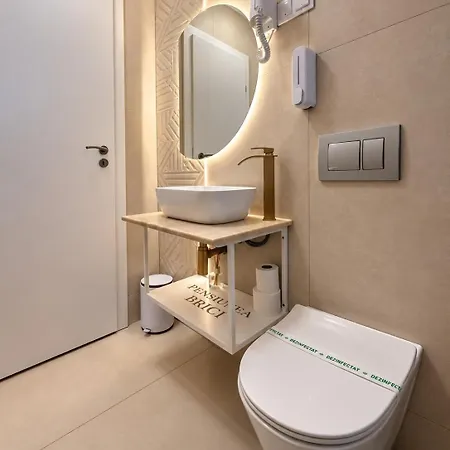Pensiunea Brici 3*