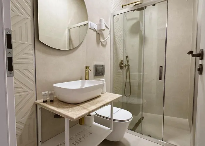 Pensiunea Brici 3* Cluj-Napoca