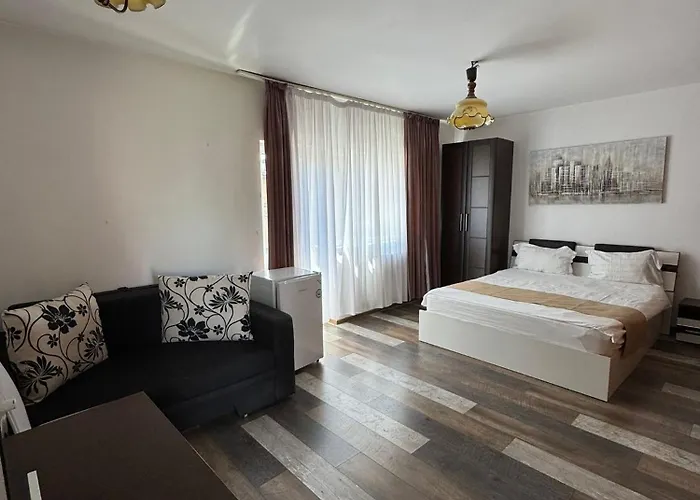 Pensiunea Brici Gasthuis 3*