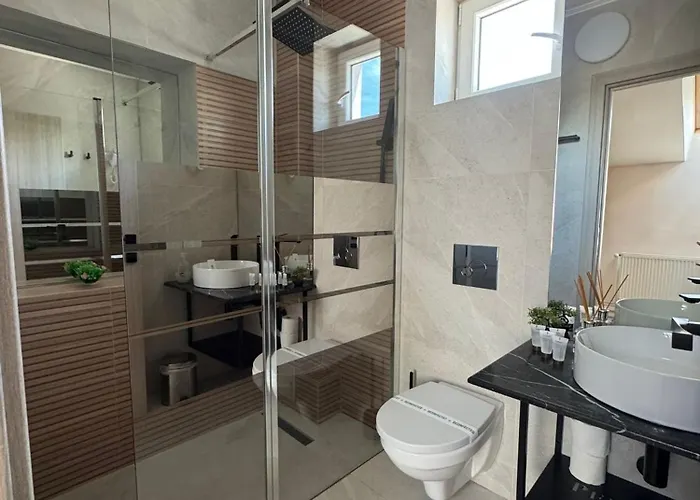 Gasthuis Pensiunea Brici 3*