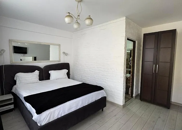 Pensiunea Brici 3* Cluj-Napoca